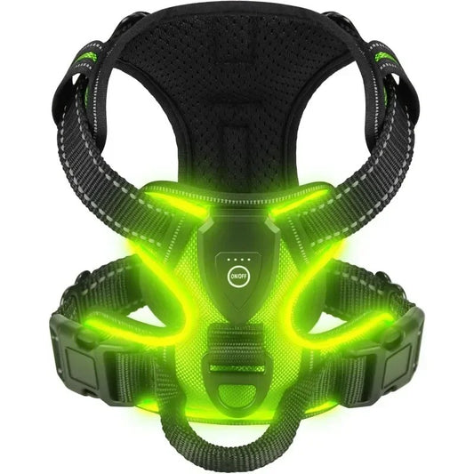 Glow In The Dark Dog Harness