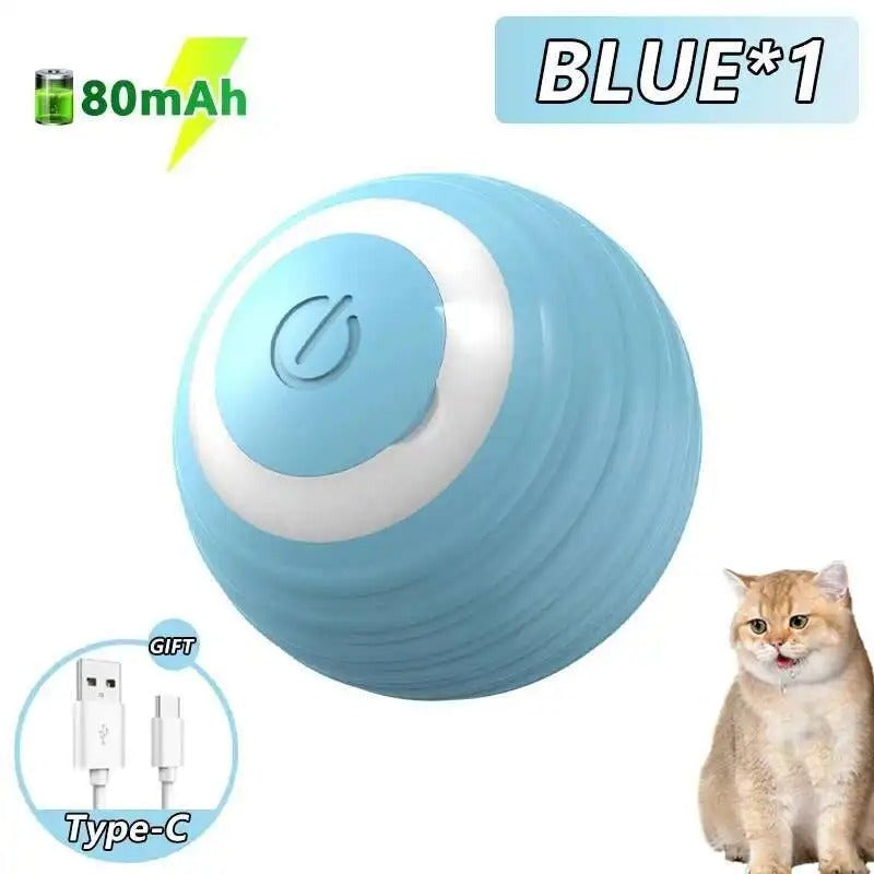 Automatic Dog Ball