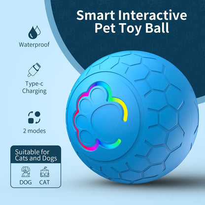 Automatic Dog Ball
