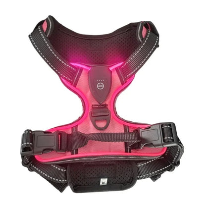 Glow In The Dark Dog Harness