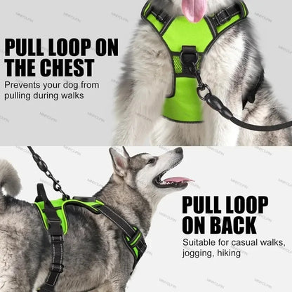 Glow In The Dark Dog Harness
