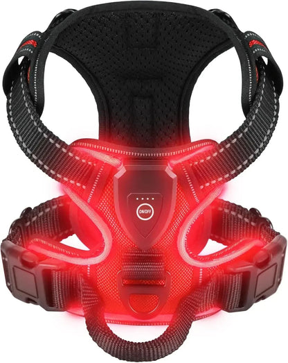 Glow In The Dark Dog Harness